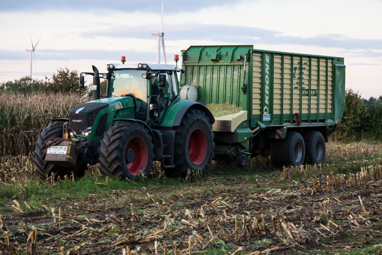 Bild 30 - Maisernte am 11.10.12